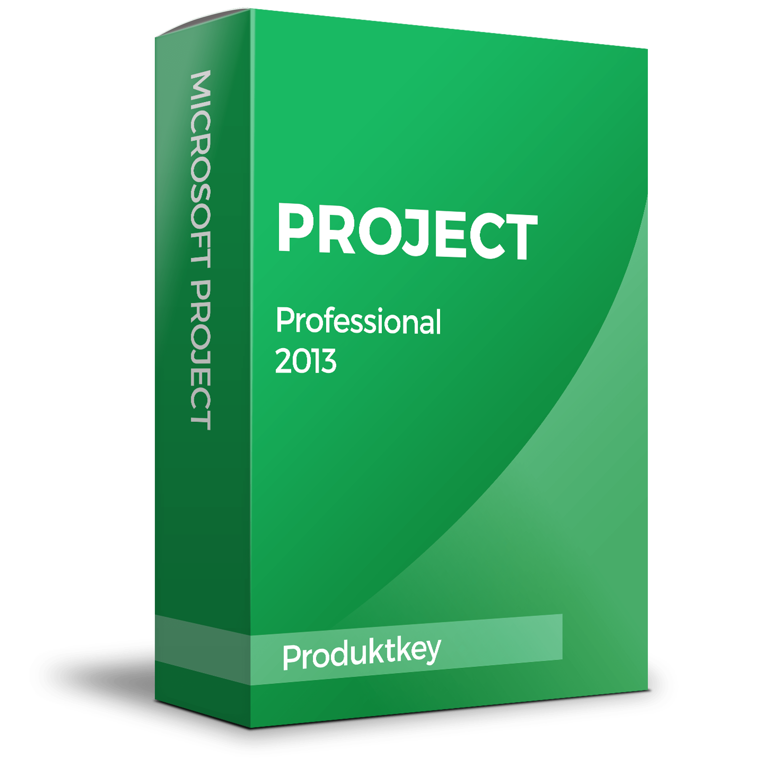 project professional 2013